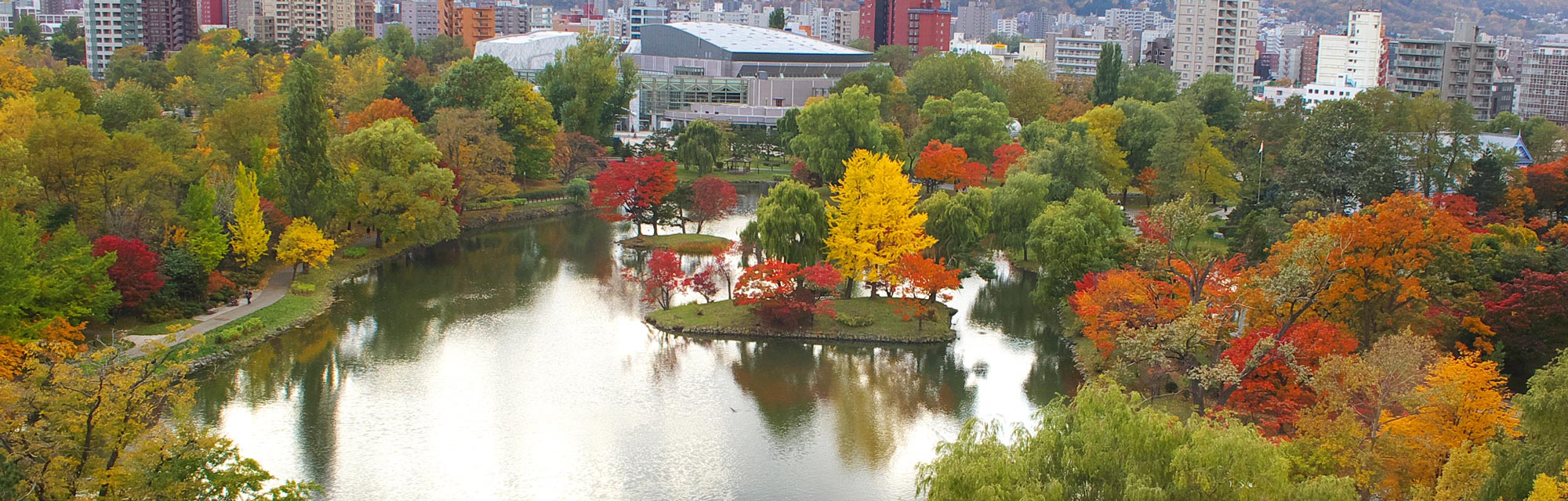 Autumn Leaf Spots in Furano