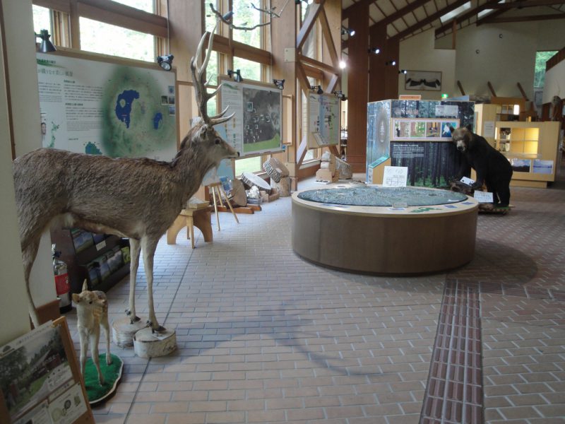 Kawayu Eco Museum Center