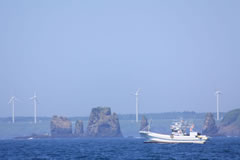 The Ochiishi nature cruise and Habomai Gyoukou panoramic cruise
