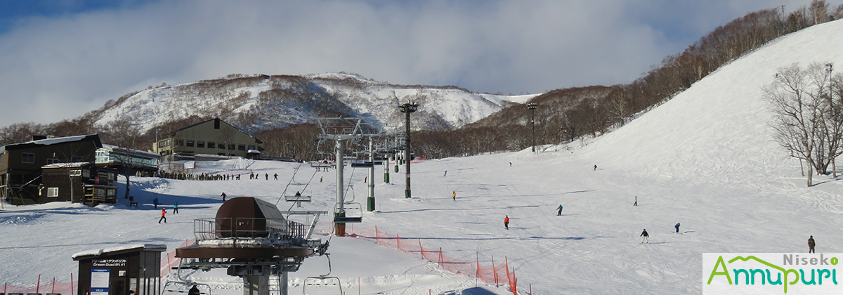 Niseko Annupuri International Ski Area