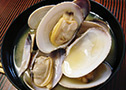 Japanese littleneck clam
