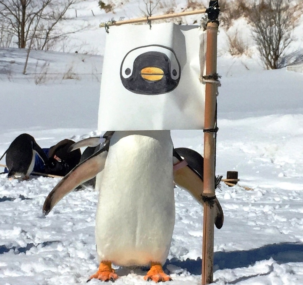 Flag and Penguin