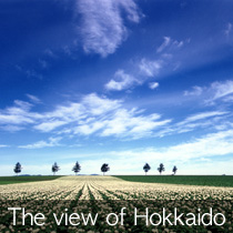 The view of Hokkaido