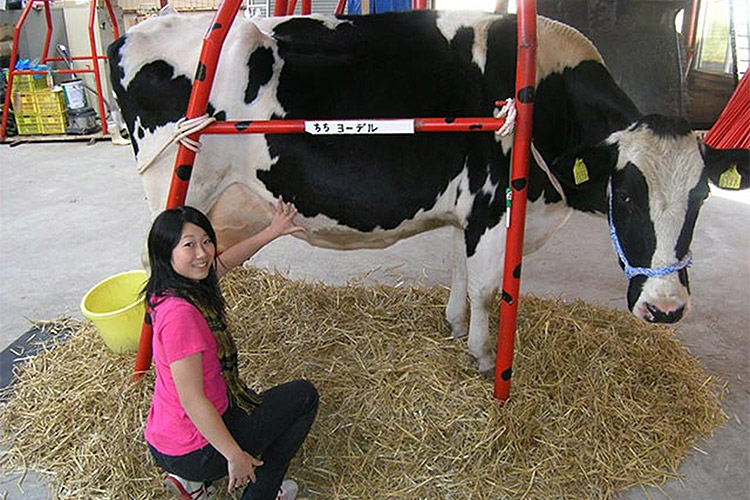 Watanabe Experience Farm