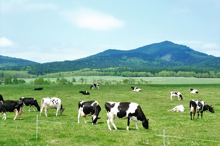 teshikaga-watanabe-farm.jpg