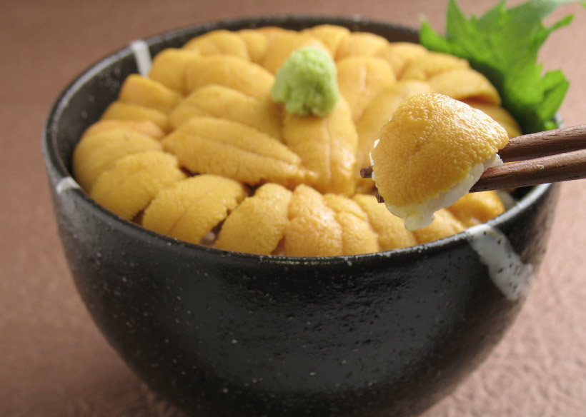 uni_sapporo_ph04.jpg